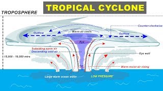 Tropical Cyclone Hurricane Storm Formation explained  Cyclone Biparjay in Arabian Sea Gujarat [upl. by Pence]