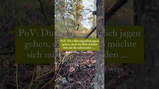 🎥Credits victoriaoutdoors TikTok 🎶 Song Schon Okay  Tom Twers [upl. by Erde843]