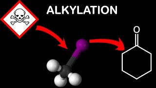 Alkylation of Cyclohexanone [upl. by Domingo]