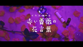 赤い薔薇の花言葉／くろさわかな【Music Video】 [upl. by Anertac732]