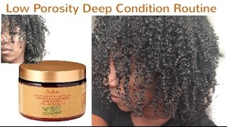 Low Porosity Deep Condition  Shea Moisture Manuka Honey Hair Masque [upl. by Ettecul570]