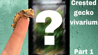 Bioactive crested gecko vivarium part 1 [upl. by Nnaillij101]