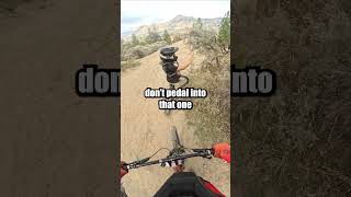 ALWAYS LISTEN TO CANADIAN MTB KIDS mtb littleripper [upl. by Lehte]