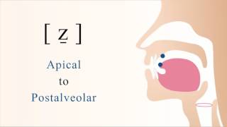 ẕ  voiced apical postalveolar sibilant fricative [upl. by Phelips980]