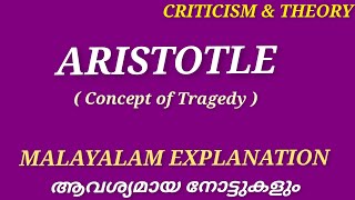 Aristotle Concept of Tragedy and Tragic heroCriticism amp Theory Literature Miss [upl. by Sirovart]