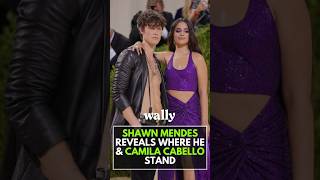 Shawn Mendes REVEALS Where He amp Camila Cabello Stand  Latest Update [upl. by Claiborne]