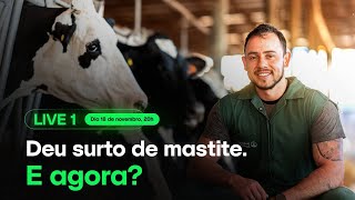 Deu surto de mastite E agora [upl. by Labotsirc]