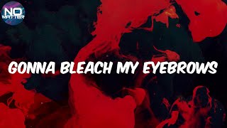 Alemeda  Gonna Bleach My Eyebrows Lyrics [upl. by Irena228]