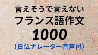 言えそうで言えないフランス語フレーズ1000 [upl. by Nonnah]