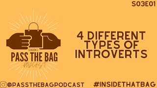 The 4 Different Types of Introverts Pass The Bag S03E01 INSIDETHEBAG [upl. by Irtak883]