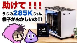 うちのintel Core Ultra 9 285K不具合直らん、せっかくInWinケースで組んだのに… [upl. by Sikorski764]