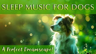 Magical Dog Dreams 🐶 Enchanted Melodies for Canine Slumber [upl. by Eirrol]