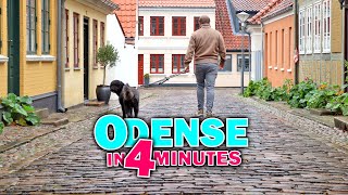 Best Things to Do in Odense Denmark in 4 Minutes  Travel Vlog [upl. by Trisa772]