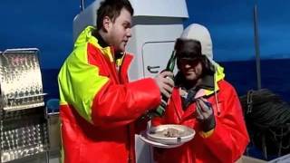 Fishing for Wolf Fish in Iceland  Heston Blumenthal [upl. by Lilllie]