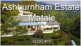 Ashburnham Estate Matalae  Ashan Perera  VLOG 17 [upl. by Petulah]