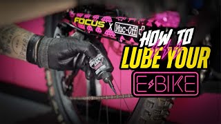 How To Lube your eBike Chain The Right Way [upl. by Tala]