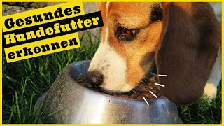 Hundefutter I Trockenfutter für Hunde I Gesundes Futter erkennen I Zusammensetzung verstehen [upl. by Melany940]