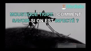 Moustique tigre  reconnaître les signes dune contamination [upl. by Rheinlander]