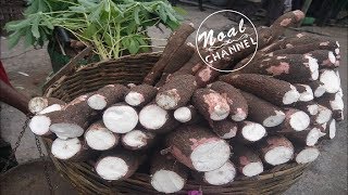 Process Of Making Cassava Flour by Manual Method  Cassava processing line [upl. by Aisac89]