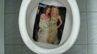 Flushing performance 2 Olsen twins get flushed down the Alföldi toilet [upl. by Aileno]