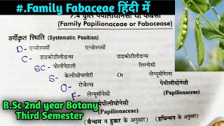 Family Papilionaceae or Fabaceae  BSc 2nd year Botany third Semester [upl. by Akinnej]