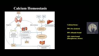 Parathyroid Disorders  Lecture 3  DrSohail [upl. by Kyd]