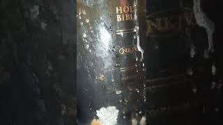 Putting a Holy Bible in salt water for 598 days [upl. by Nerok]