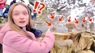 Even Japanese Snow Monkeys Bathe In Hot Springs So Cute  Japanese British Couple Travel VLOG [upl. by Drucilla909]