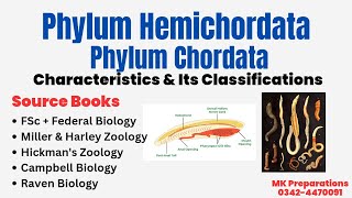 Hemichordata amp Chordata  General Characteristics amp Classification  Miller amp Harley Zoology  PPSC [upl. by Anined]