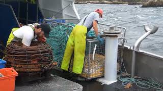 CRAYFISHING ON THE WESTCOAST OF TASMANIA NICE FOOTAGE [upl. by Glimp]