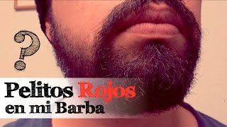 Pelitos Rojos en mi Barba [upl. by Adara]