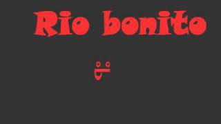 rio bonito funk [upl. by Giarg]