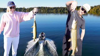 Catching A TON of fish on our lake in Minnesota [upl. by Corel]