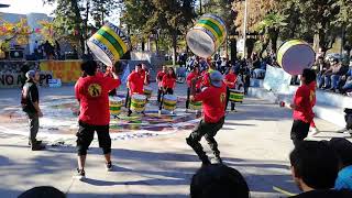 Presentación en marcha cultiva tus derechos curicó 2019 [upl. by Myke]