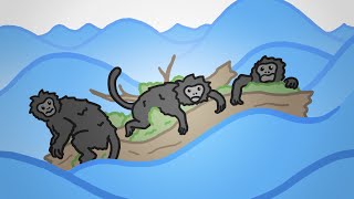 The WEIRD Way Monkeys Got to America [upl. by Novat]