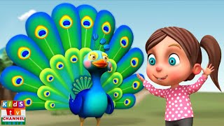 Nach Re Mor Pankh Faila Ke नाचे रे मोर Hindi Balgeet and Nursery Rhymes for Children [upl. by Hilaria]