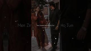 Love Shayari Status ❤️ Love Hindi Shayari💖 Romantic Love Shayari  Female Voice Shayari viral [upl. by Savadove959]