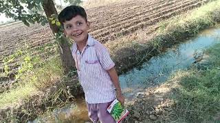 Sowing seeds of different varieties विभिन्न किस्मों के बीज बोये carrot radish garlic peas gram [upl. by Marcoux]