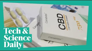 Can CBD treat psychosis Tech amp Science Daily podcast [upl. by Web309]