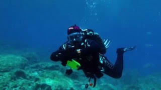 Underwater Cyprus 2016  with Podvodnyi Mir [upl. by Katerina]