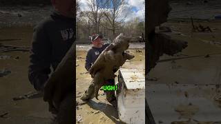 Wrangling these massive Alligator Snapping Turtles from an overcrowded Mud Pond 🐢😳 [upl. by Syxela600]