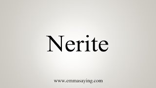 How To Say Nerite [upl. by Nobe805]