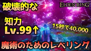 【エルデンリング】魔術師と魔法剣士のためのレベリング方法＆ルーン稼ぎ【ELDEN RING】 [upl. by Eislel]