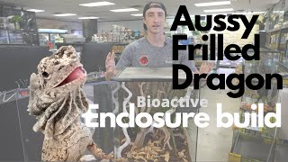 BioActive Enclosure Build for Australian Frilled Dragon [upl. by Nolubez]