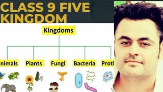 five kingdom system  classification of living organisms  viral video five kingdom systemkingdom [upl. by Alicsirp764]