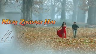 Meri Zindagi Hai Song inam Khan Nayab Ali mntl 3rd class tranding [upl. by Roht]