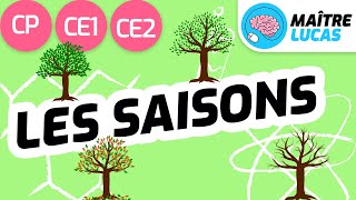 Les saisons CP  CE1  CE2  Cycle 2  Questionner le monde  Se repérer dans le temps [upl. by Ybur]