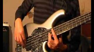 Pretty little ditty  Red Hot Chili Peppers Bass Lesson [upl. by Rizan]