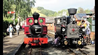 Welshpool and Llanfair Light Railway Gala 1st September 2019 [upl. by Saenihp]