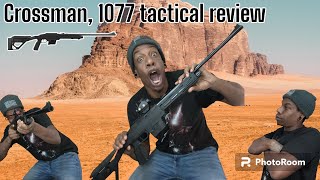 crossman 1077 tactical review airguns [upl. by Eanerb]